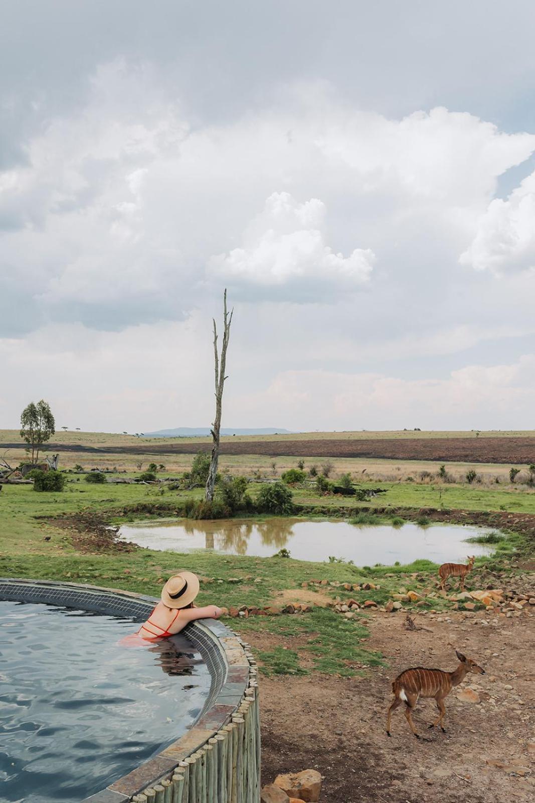 Nambiti Plains Lodge Ladysmith Εξωτερικό φωτογραφία