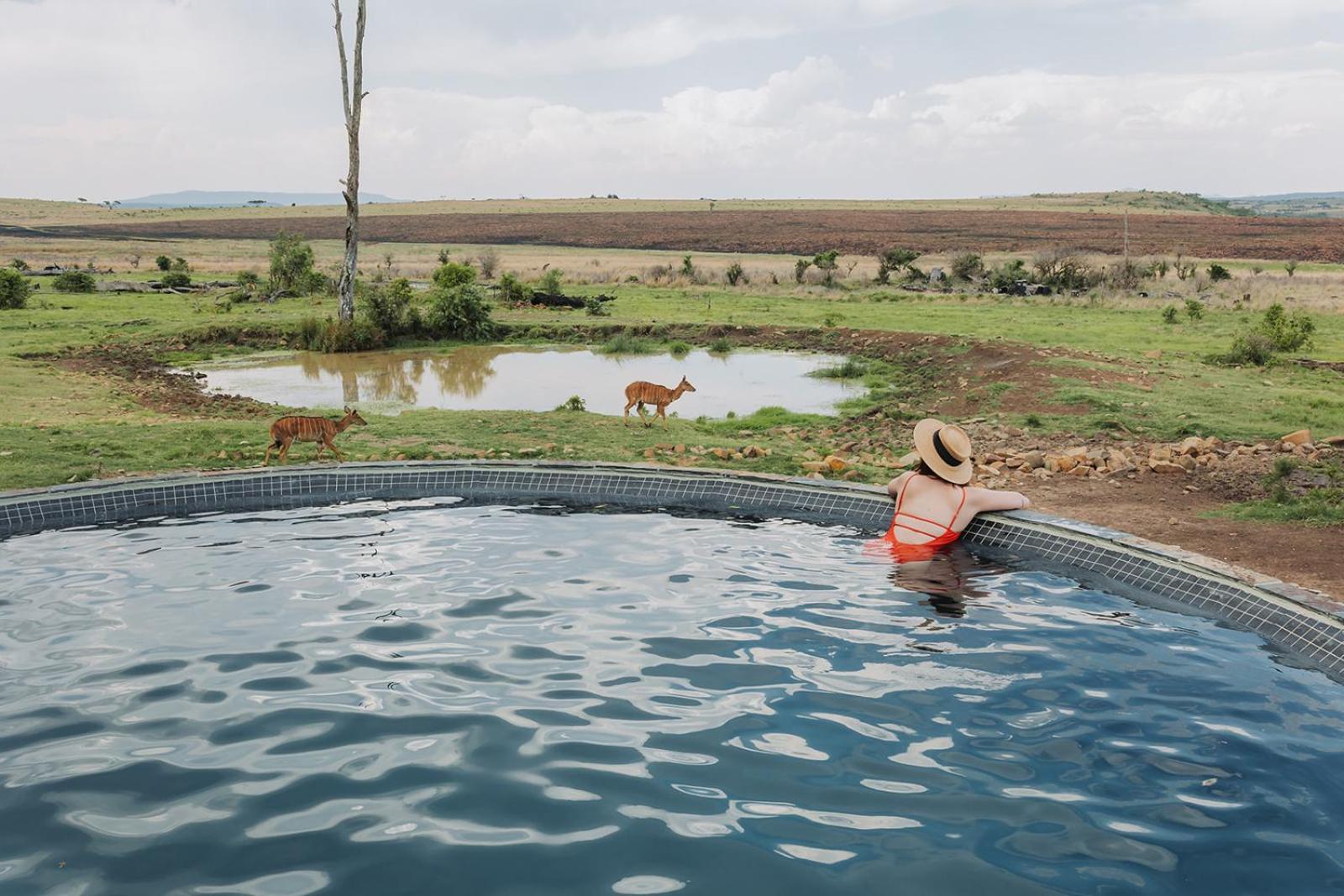 Nambiti Plains Lodge Ladysmith Εξωτερικό φωτογραφία