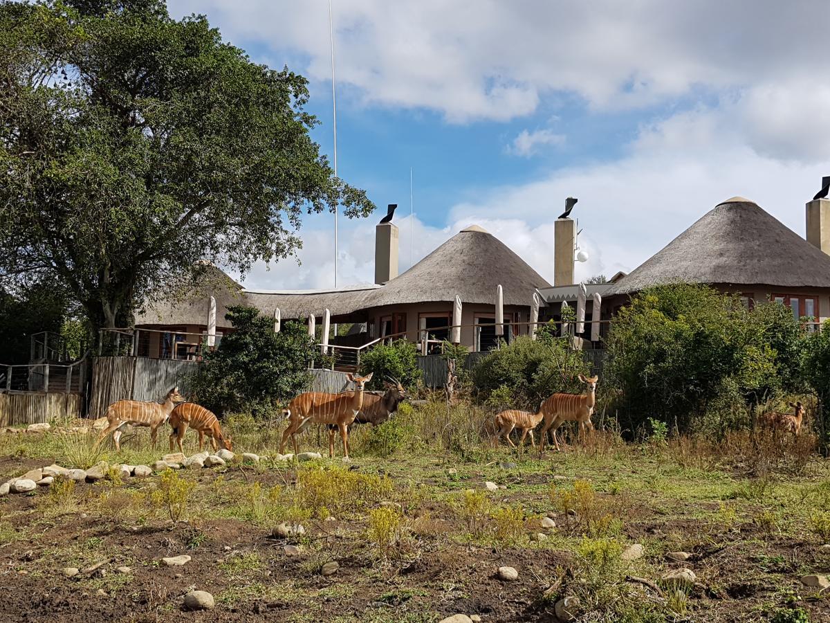Nambiti Plains Lodge Ladysmith Εξωτερικό φωτογραφία