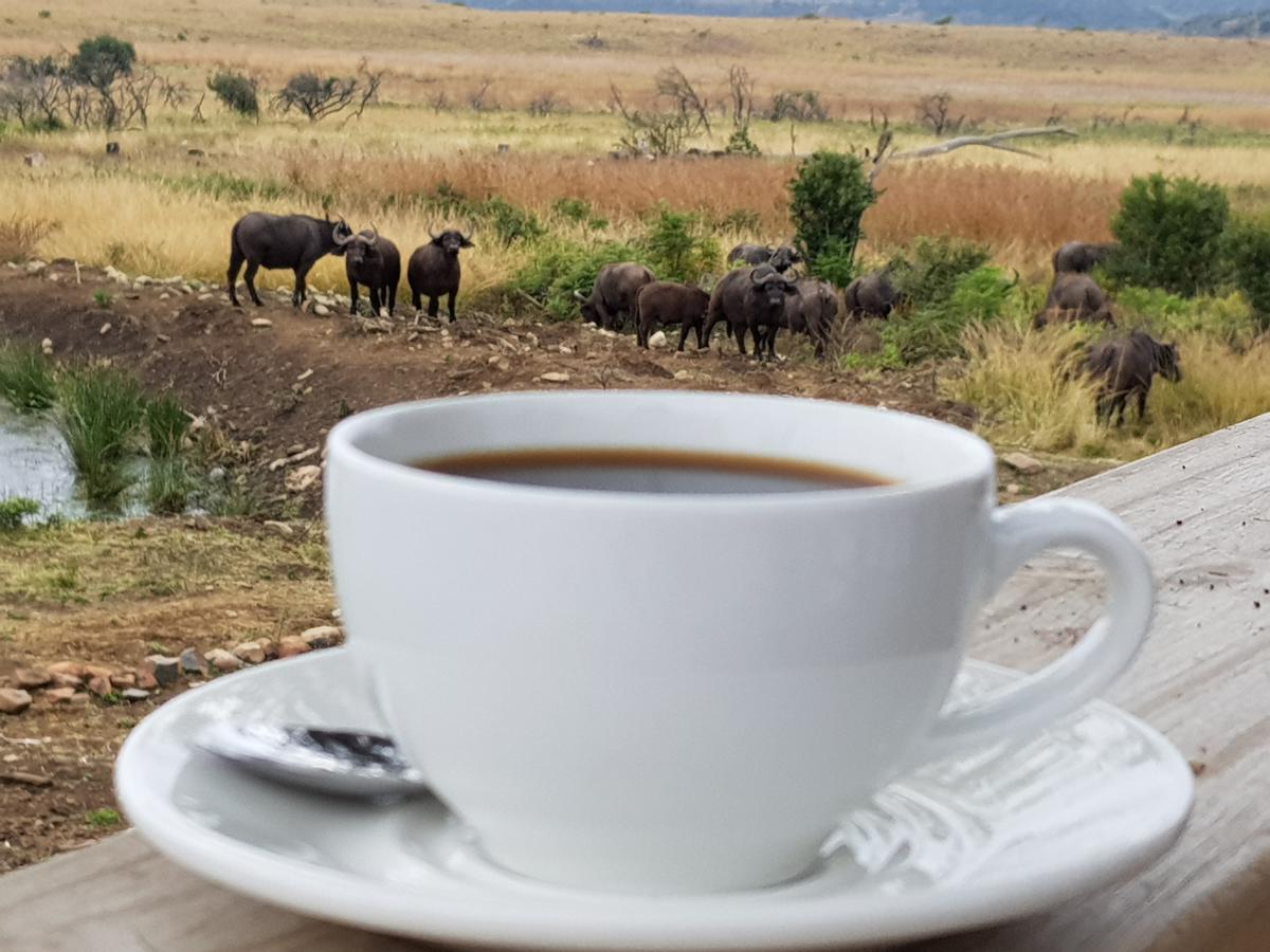Nambiti Plains Lodge Ladysmith Εξωτερικό φωτογραφία