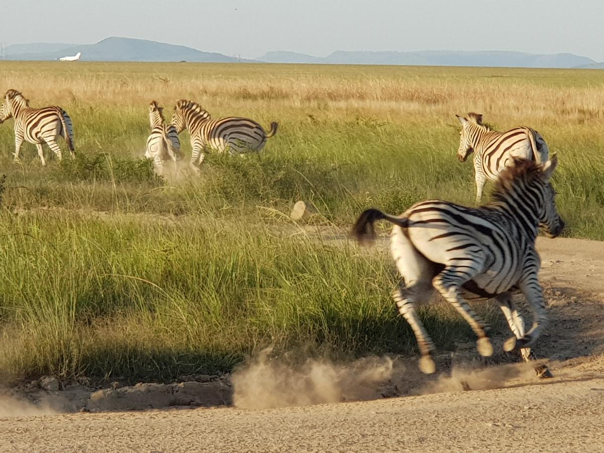 Nambiti Plains Lodge Ladysmith Εξωτερικό φωτογραφία