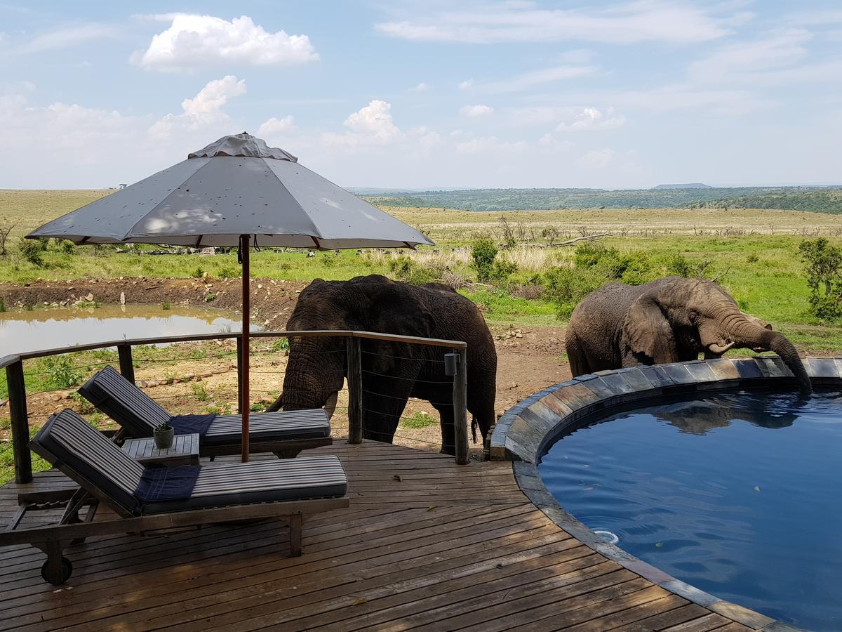 Nambiti Plains Lodge Ladysmith Εξωτερικό φωτογραφία